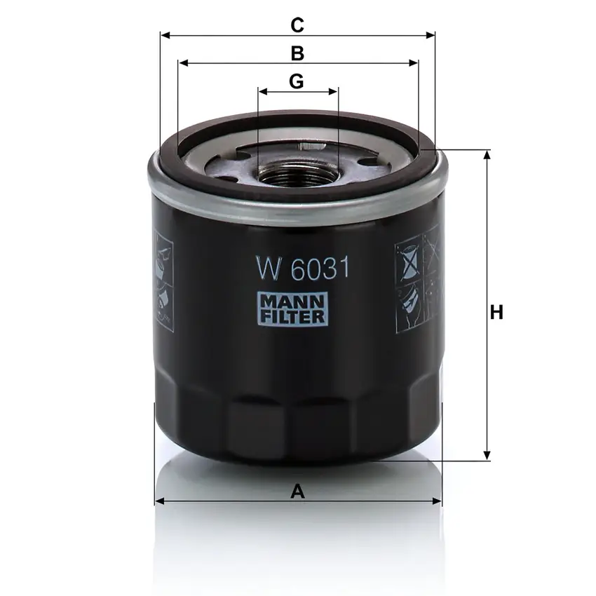 MANN W 6031