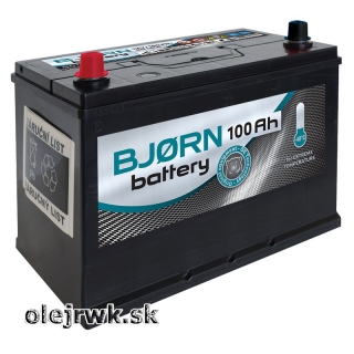 BJORN AZIA BA1011 12V 100Ah Ľ